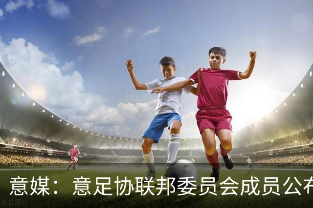 意媒：意足协联邦委员会成员公布，马洛塔和基耶利尼等人全员留任
